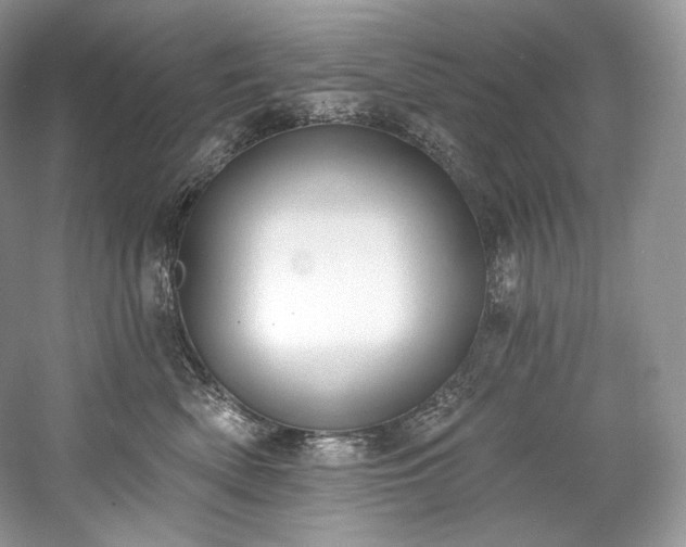 X0000059790522200510211121