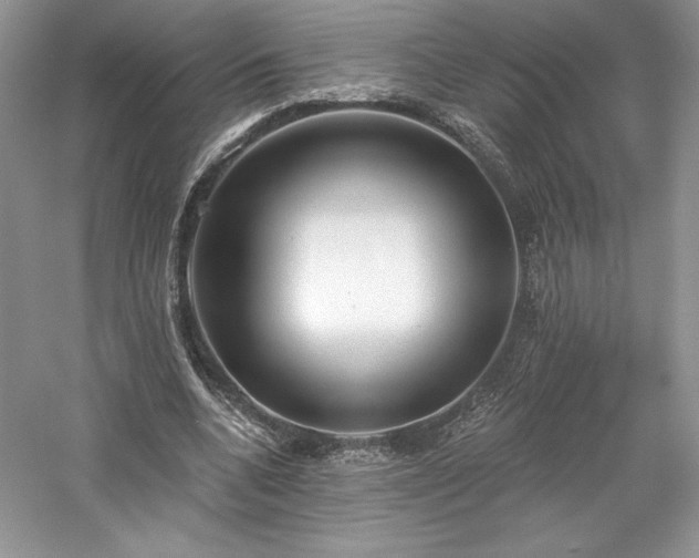 X0000059790536200510211120