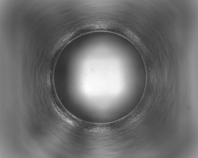 X0000059790537200510211120