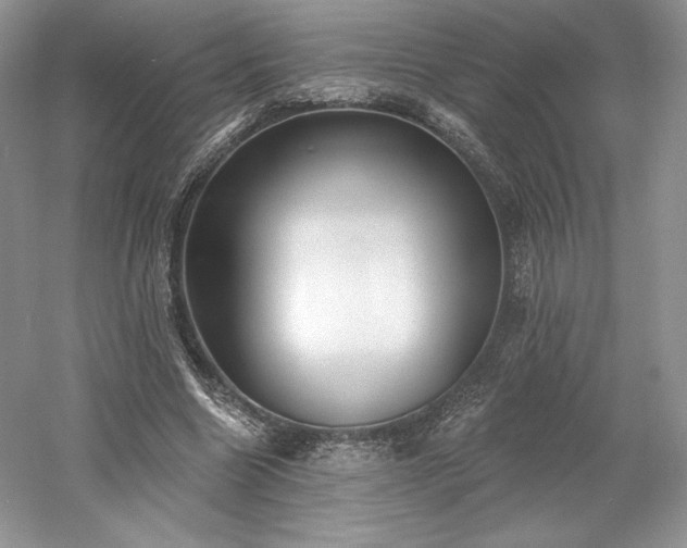 X0000059790538200510211120
