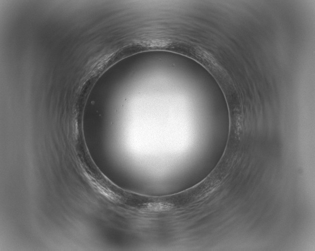 X0000059790541200510211120