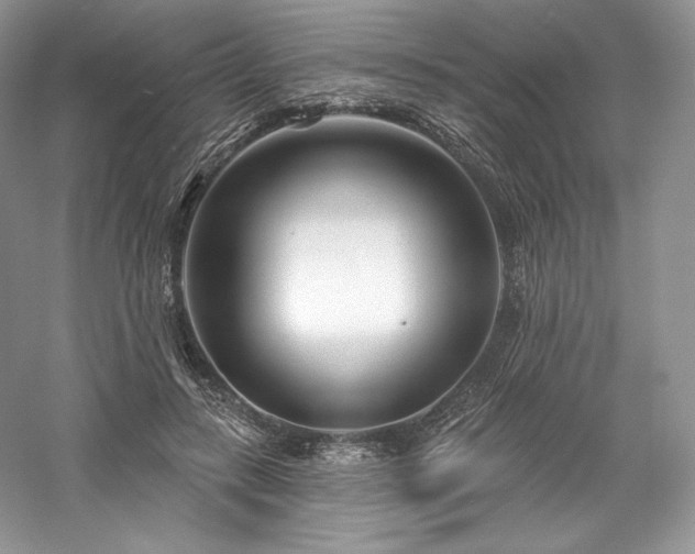 X0000059790547200510211120