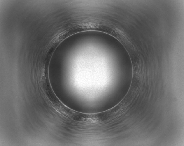 X0000059790548200510211120