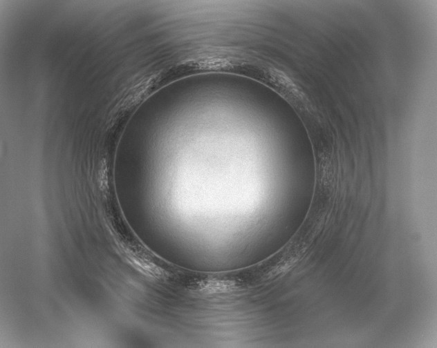 X0000059790549200510211120
