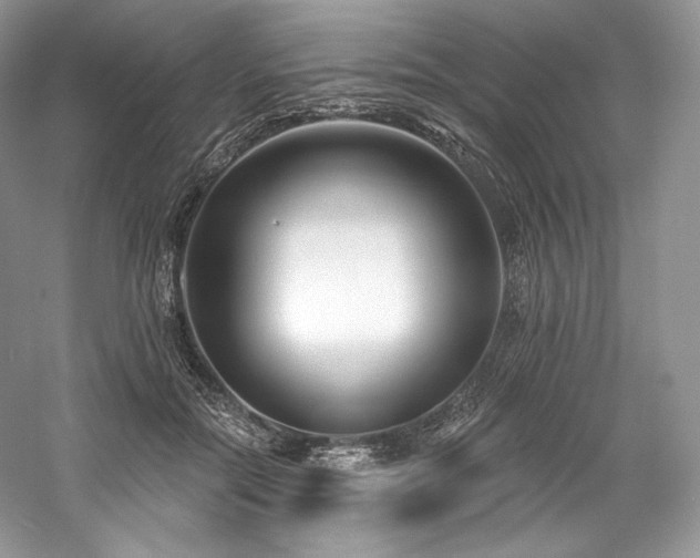 X0000059790554200510211120