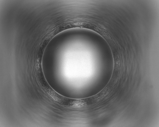 X0000059790555200510211120