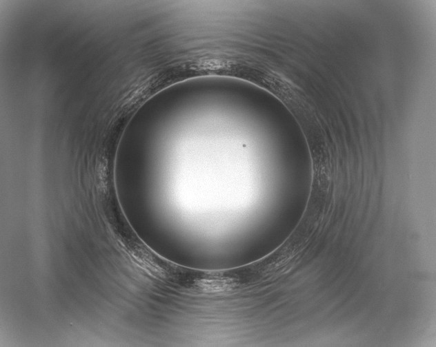 X0000059790556200510211120