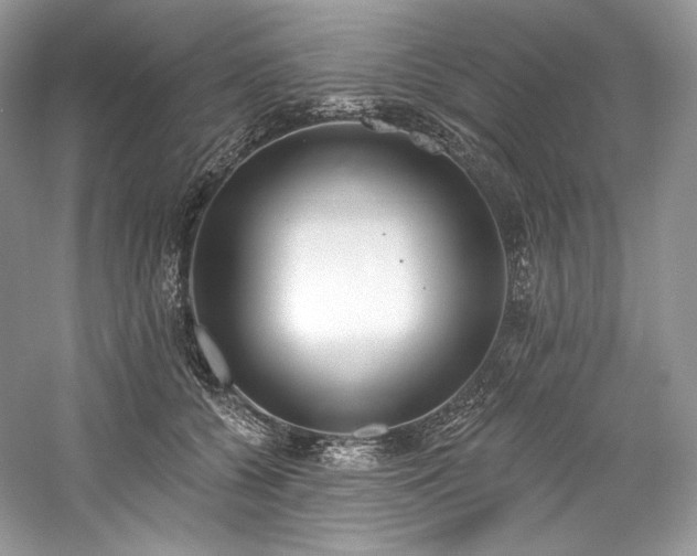 X0000059790560200510211120