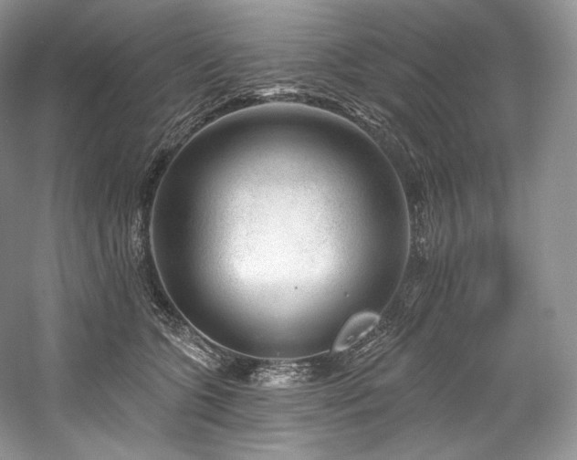 X0000059790563200510211120