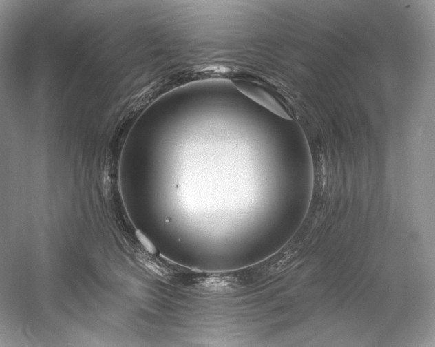 X0000059790566200510211120