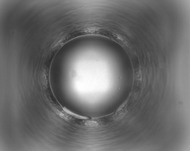 X0000059790572200510211120