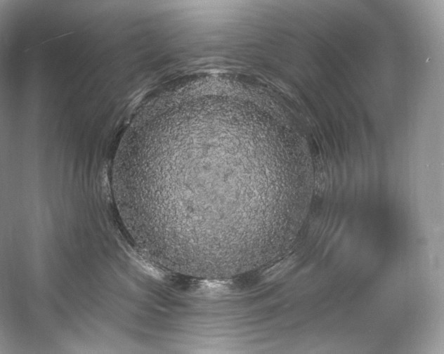 X0000059790573200510211120
