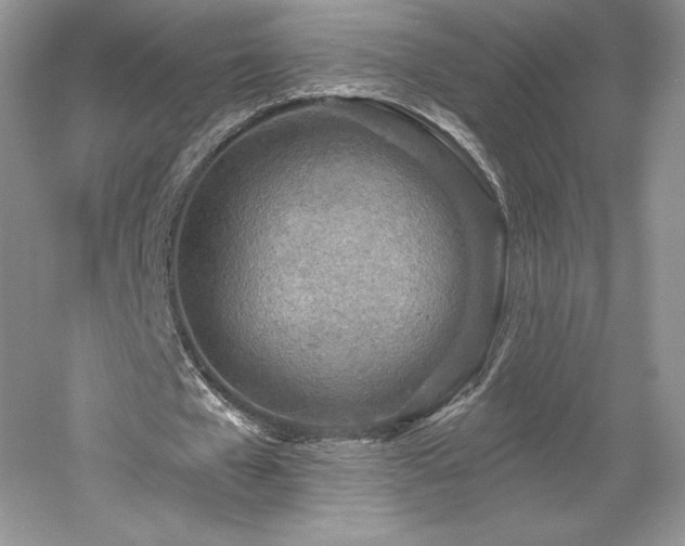 X0000059790577200510211120