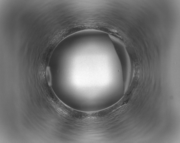 X0000059790593200510211119