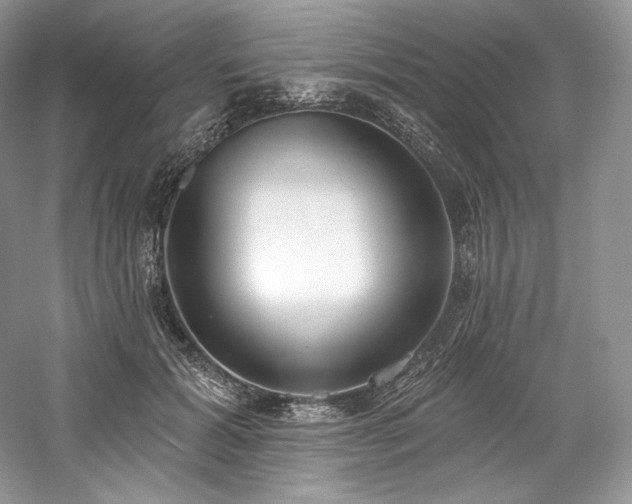 X0000059790605200510211119