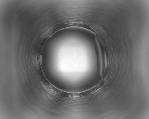 X0000059790607200510211119