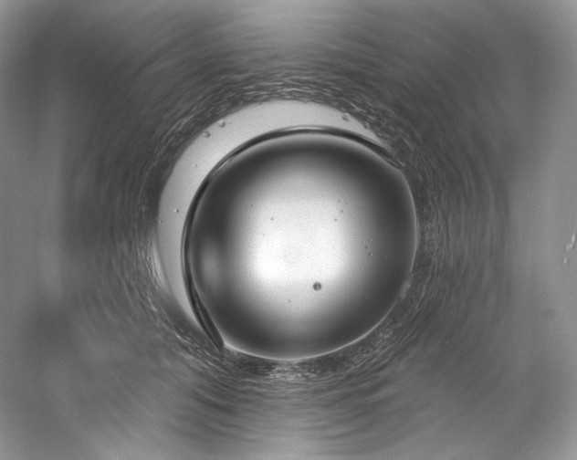 X0000059790608200510211119