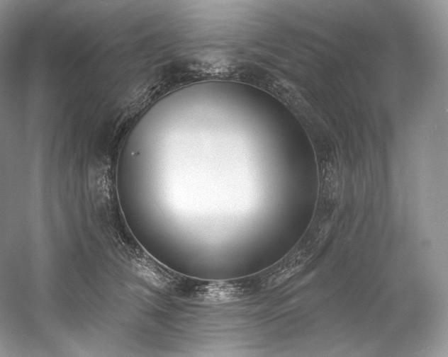 X0000059790612200510211119