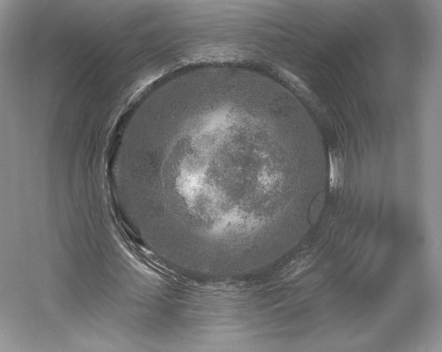 X0000059790627200510211118