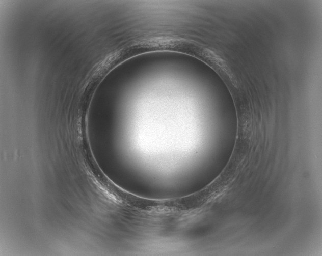 X0000059790633200510211118