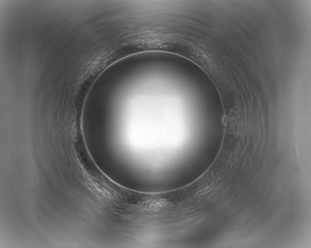 X0000059790642200510211118