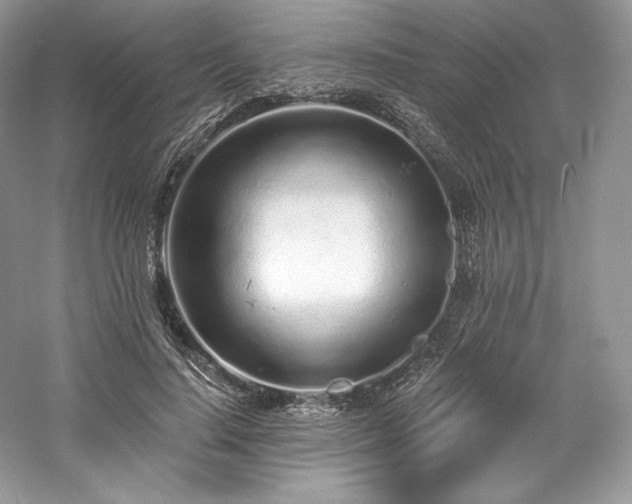 X0000059790644200510211118