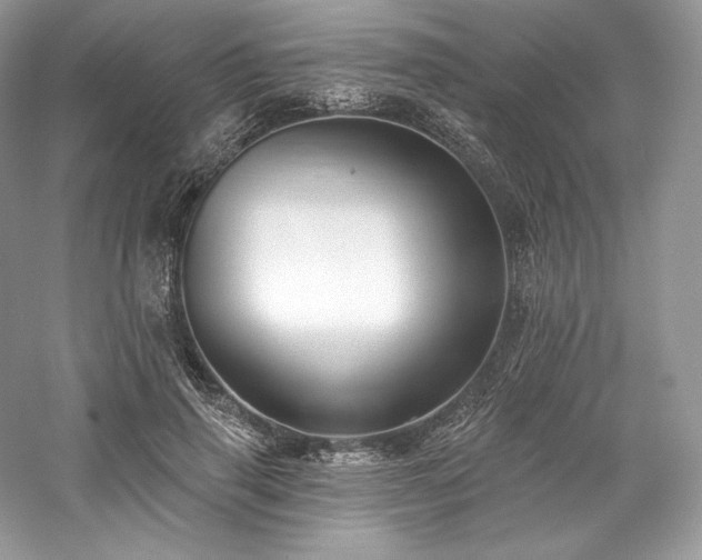 X0000059790645200510211118