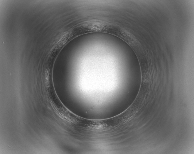 X0000059790646200510211118