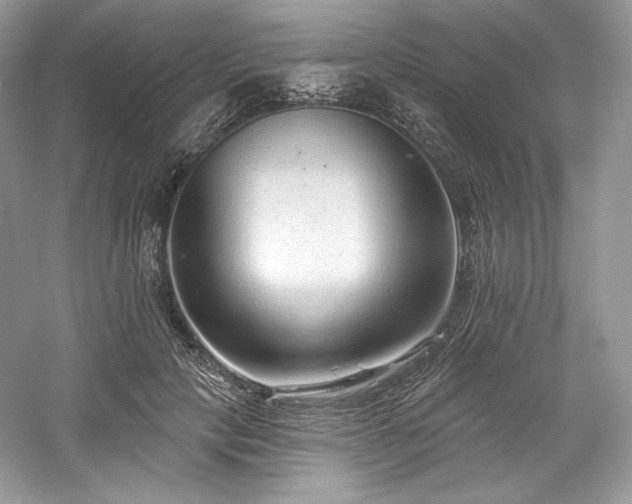 X0000059790649200510211118
