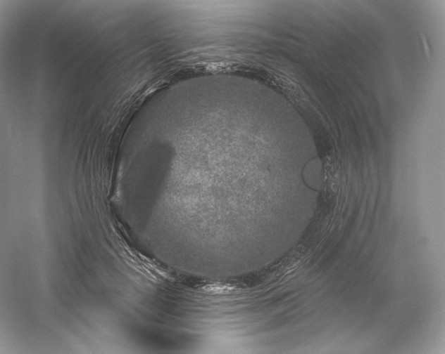 X0000059790650200510211118