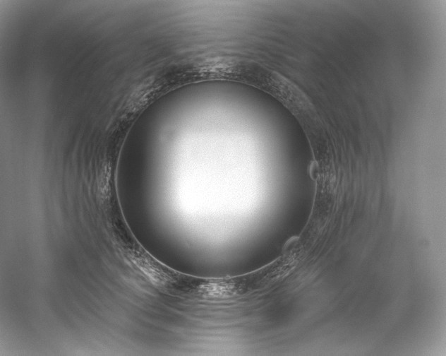 X0000059790660200510211119