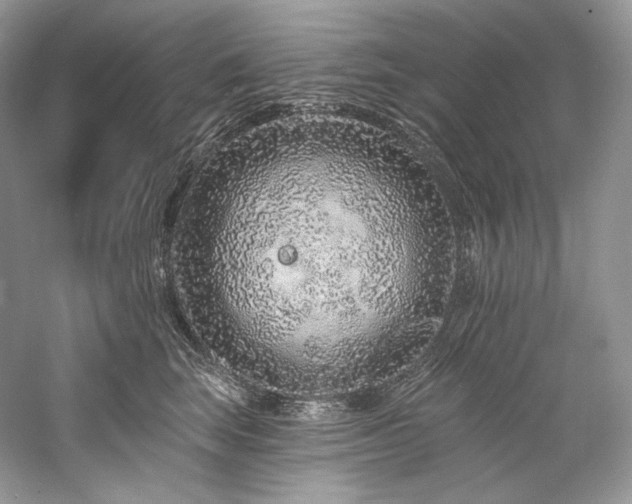 X0000059790663200510211119