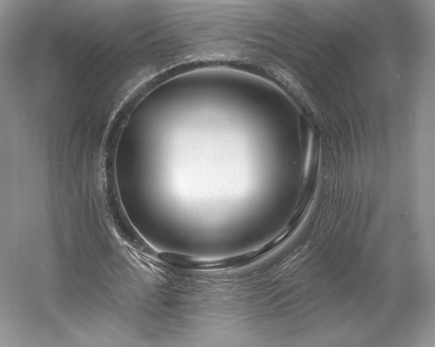 X0000059790676200510211118