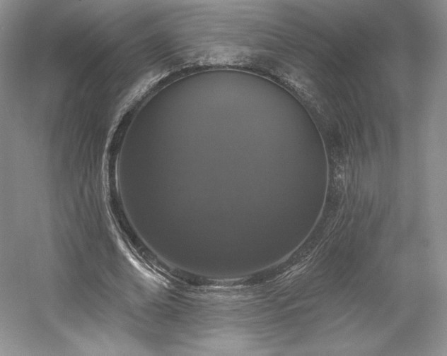 X0000059790678200510211118