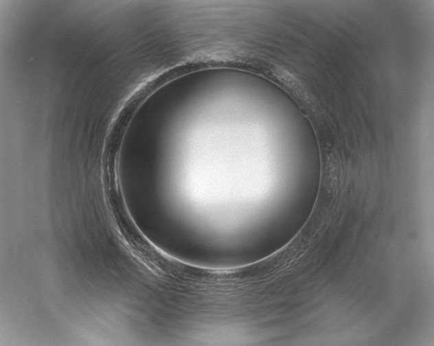X0000059790680200510211118