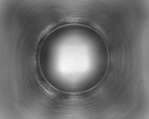 X0000059790682200510211118