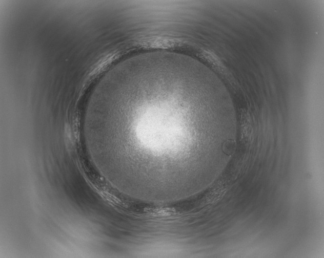 X0000059790683200510211118