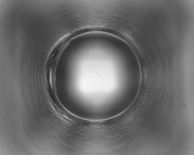 X0000059790684200510211118