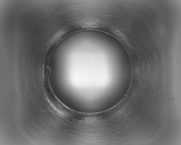 X0000059790686200510211118