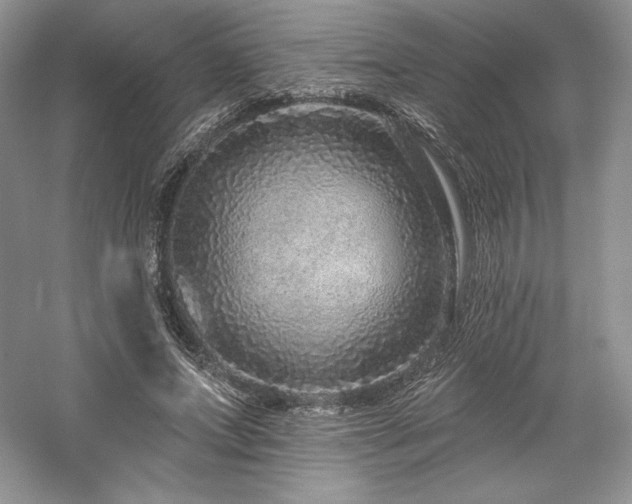 X0000059790687200510211118