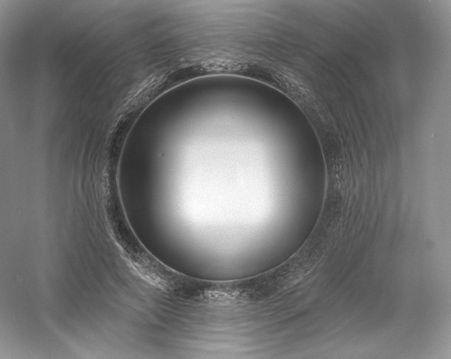 X0000059790690200510211118