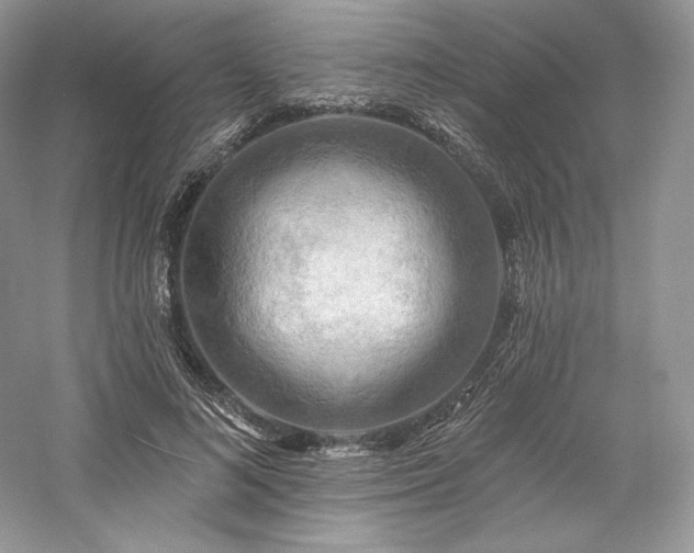 X0000059790692200510211118