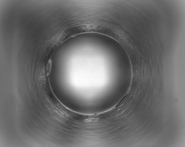 X0000059790700200510211118