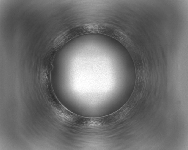 X0000059790702200510211117