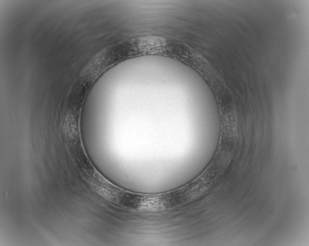 X0000059790705200510211117