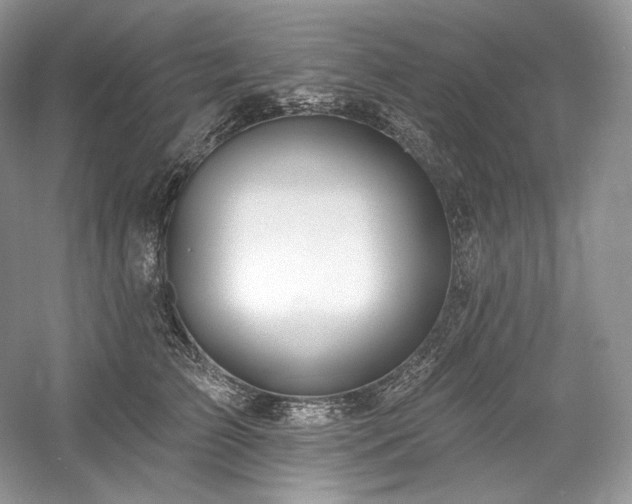 X0000059790709200510211117