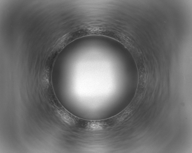 X0000059790710200510211117