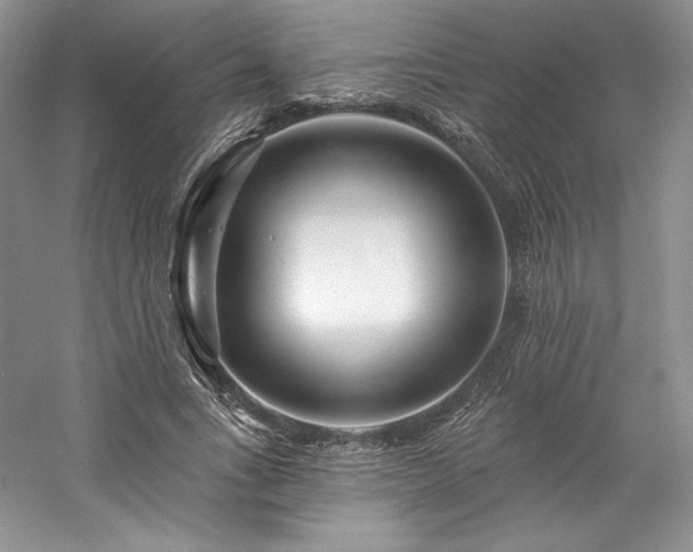 X0000059790735200510211117