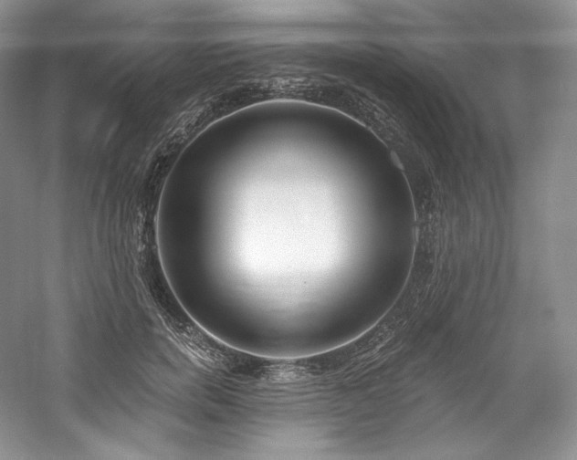 X0000059790750200510211117