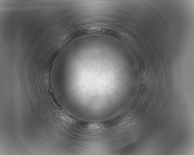 X0000059790753200510211117